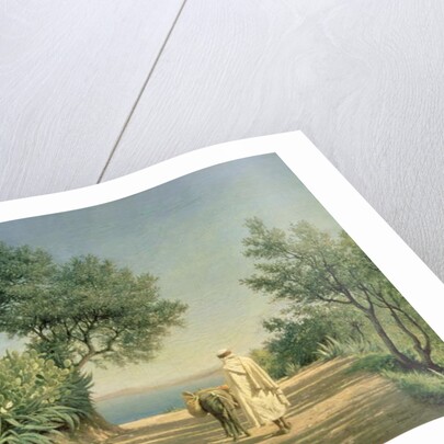 The Road to the Sea, Algeria, 1883 by Pavel Aleksandrovich Bryullov