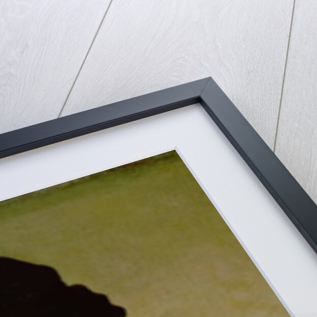 Portrait of a Man, 1640 by Salvator Rosa