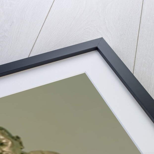 Sonam Gyatso, Third Dalai Lama, 16th-17th century by School Tibetan