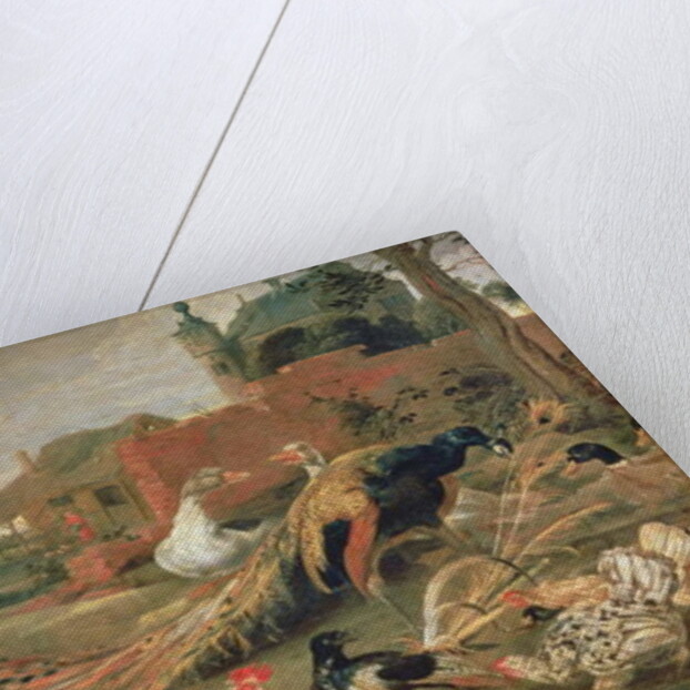 A Crow in Peacock's Feathers by Paul de Vos