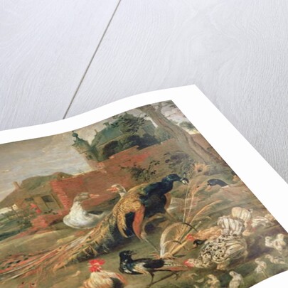 A Crow in Peacock's Feathers by Paul de Vos