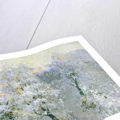 Trees in Wintry Silver, 1910 by Konstantin Ivanovich Gorbatov