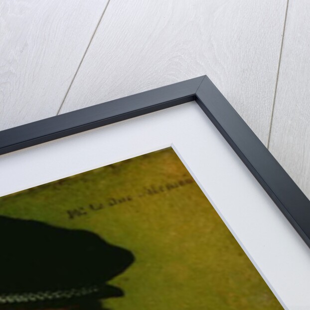 Hercule-Francois, Duke of Alencon, c.1570 by Francois Clouet