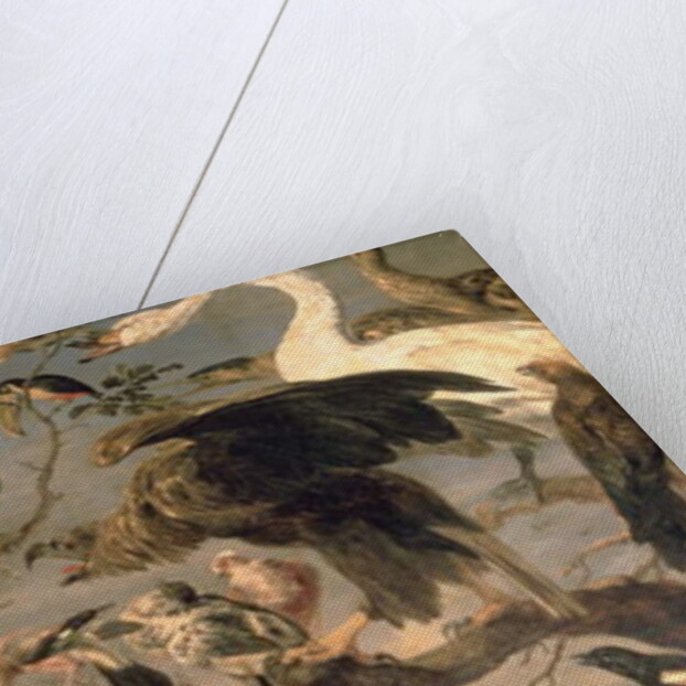 The Bird's Concert by Frans Snyders or Snijders