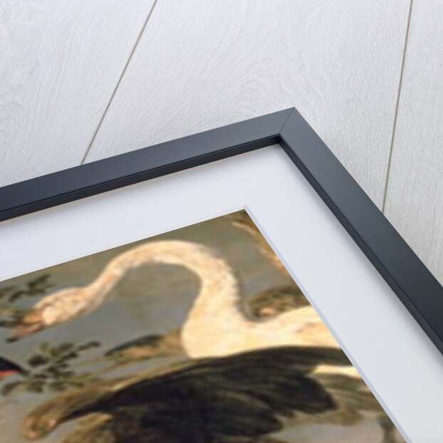 The Bird's Concert by Frans Snyders or Snijders