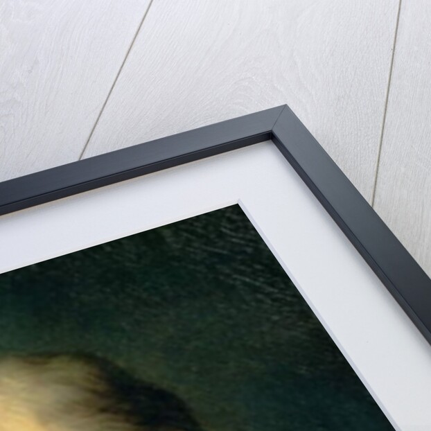 An Astronomer by Giuseppe Nogari