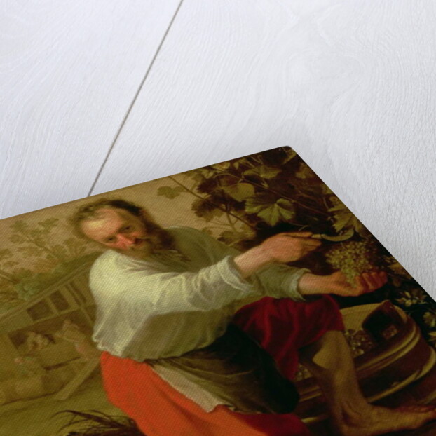 Vine Grower, 1628 by Jacob Gerritsz Cuyp