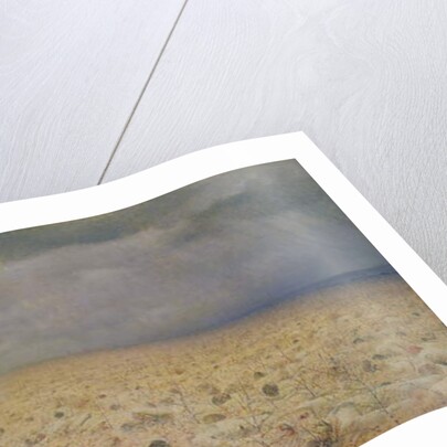 The Vanquished. Requiem for the Dead, 1878-79 by Vasili Vasilievich Vereshchagin