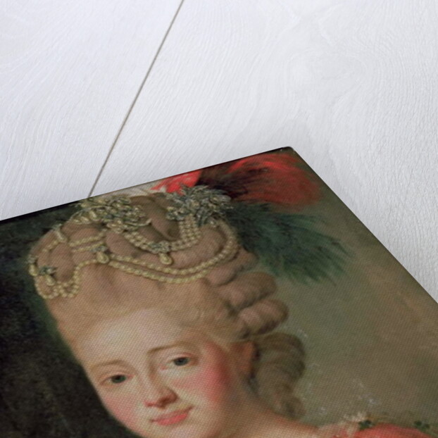 Portrait of Empress Maria Fyodorina, 1770s by Alexander Roslin