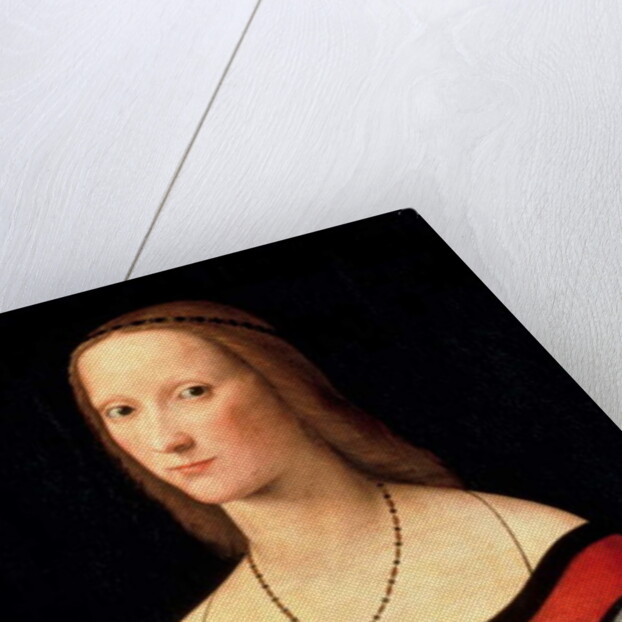 Portrait of a Woman, 1500s by Lorenzo Costa