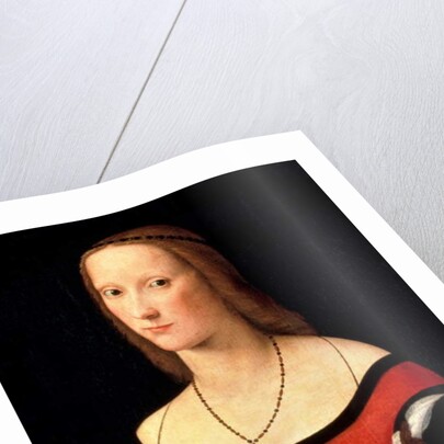 Portrait of a Woman, 1500s by Lorenzo Costa