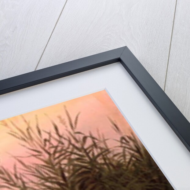 Swans in the Reeds, c.1820 by Caspar David Friedrich