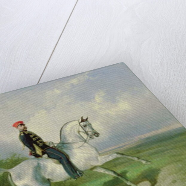 Portrait of Emperor Alexander II 1876 by Nikolai Egorevich Sverchkov