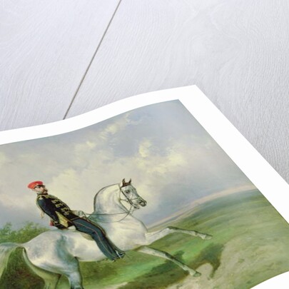 Portrait of Emperor Alexander II 1876 by Nikolai Egorevich Sverchkov