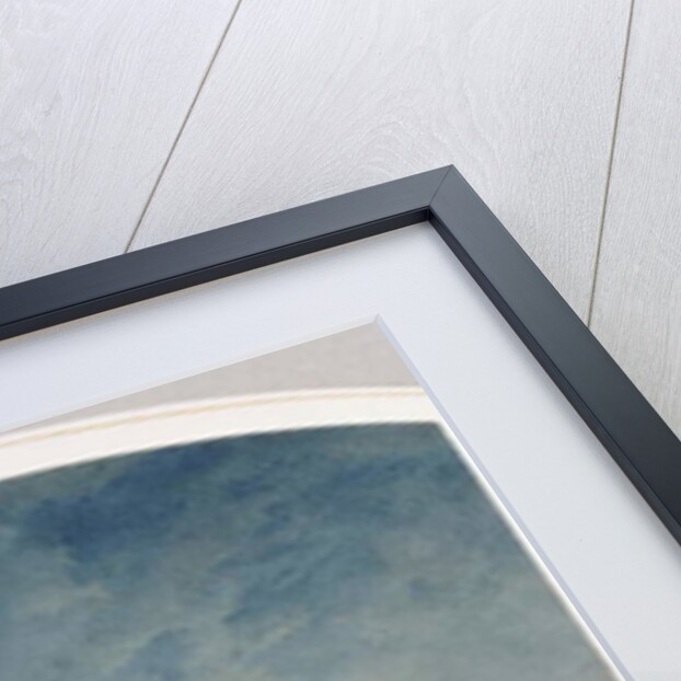 The Unveiling of the Nicholas I Memorial in St. Petersburg, 1857 by Vasili Semenovich Sadovnikov