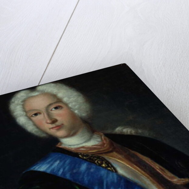 Portrait of Tsar Peter II by Johann Heinrich Wedekind