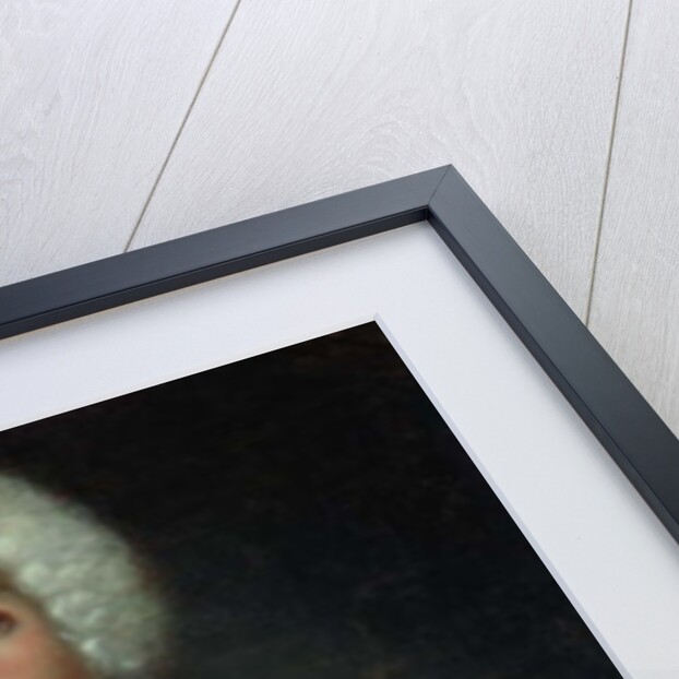 Portrait of Tsar Peter II by Johann Heinrich Wedekind