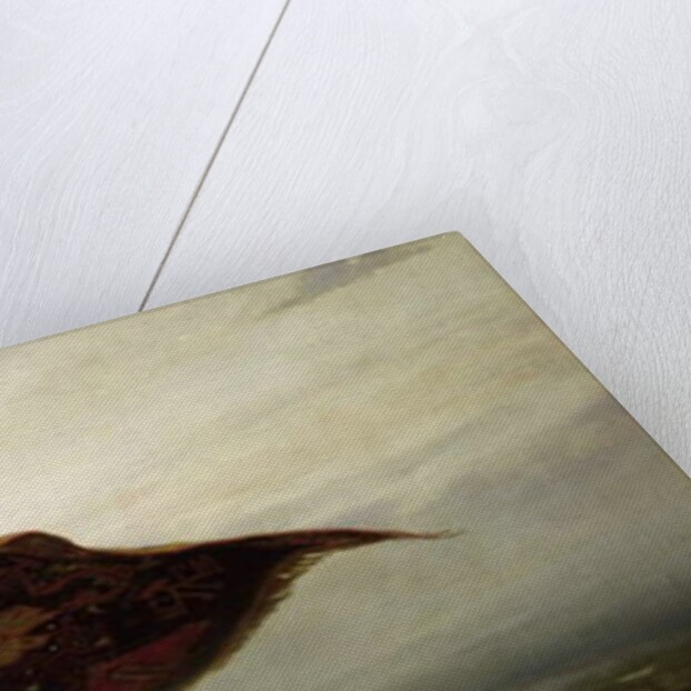 Le Tapis volant, 1880 by Apollinari Mikhailovich Vasnetsov