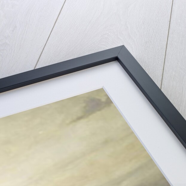 Le Tapis volant, 1880 by Apollinari Mikhailovich Vasnetsov