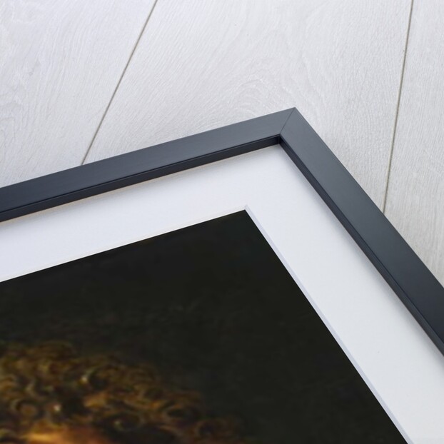 Head of an Old Man, Study for 'The Crown of Thorns', c.1612-14 by Peter Paul Rubens