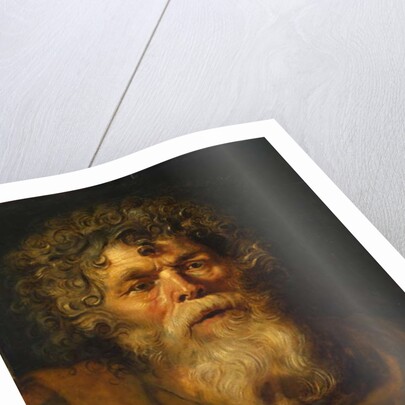 Head of an Old Man, Study for 'The Crown of Thorns', c.1612-14 by Peter Paul Rubens