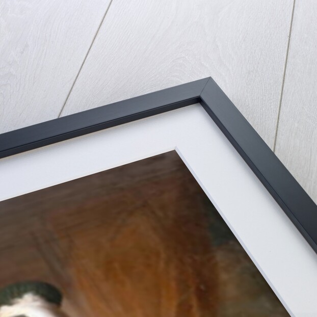 Portrait of Mehemet Said Pacha, Bey of Rumelia, Ambassador of the Ottoman Sultan Mahmoud I at Versailles, 1742 by Jacques Andre Joseph Camelot Aved