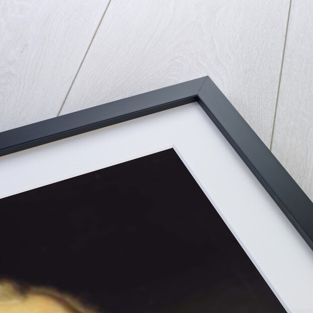 Portrait of Ivan Pavlovich Kutaysov by School Russian