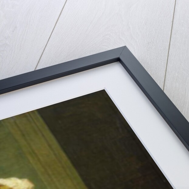 A Turkish Woman, 1773 by Angelica Kauffman