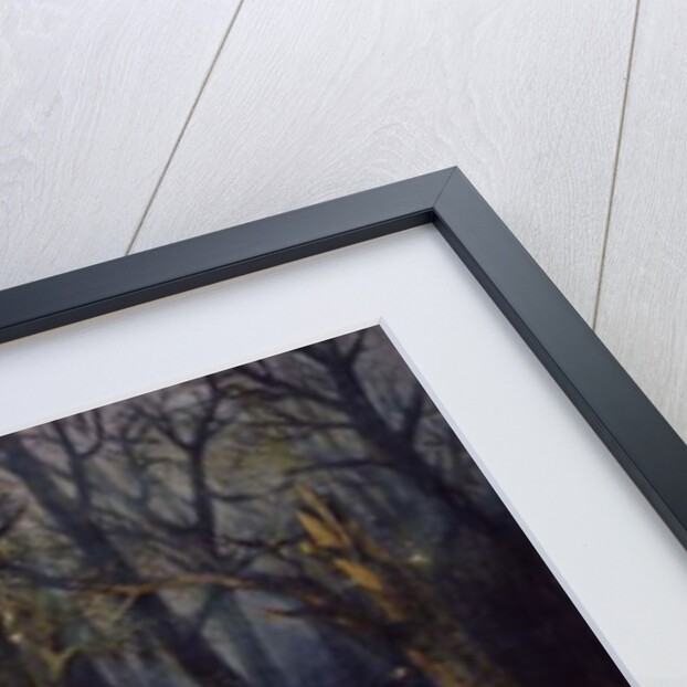 The Death of General Sleptsov in the Caucasus, 10th December, 1851 by Vasili Nikolayevich Maxutov