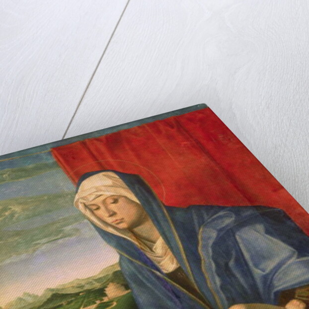 Virgin and Child by Giovanni Bellini