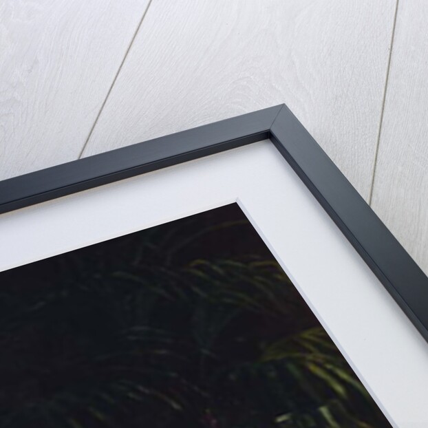 Before the Marriage by Sergei Ivanovich Gribkov