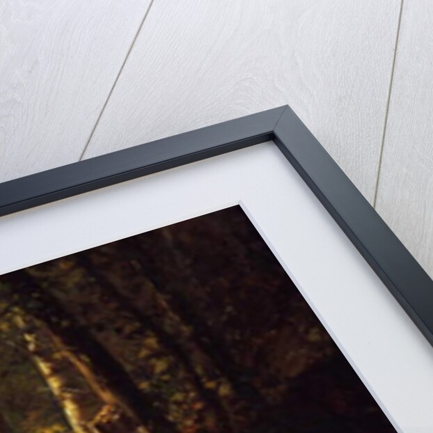 A walk in a forest, 1869 by Ivan Ivanovich Shishkin