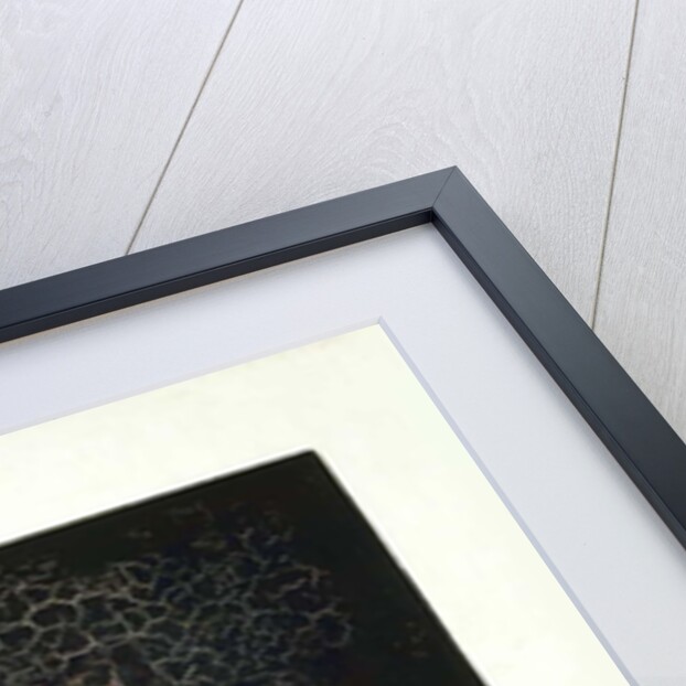 Carré noir by Kazimir Severinovich Malevich