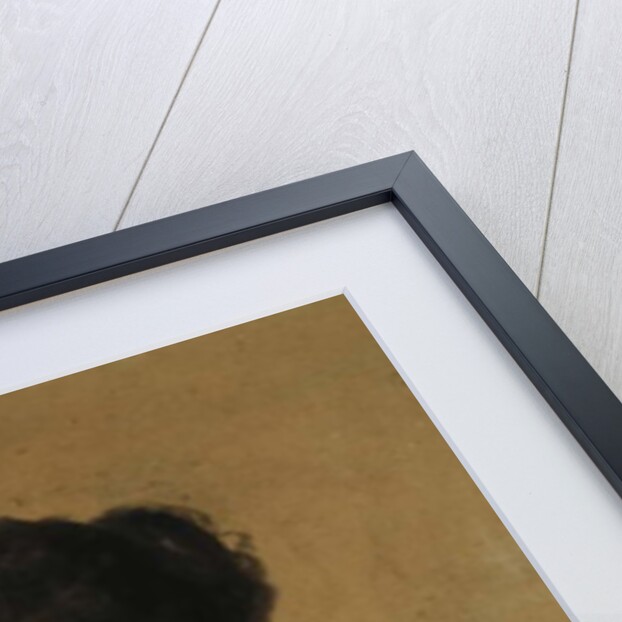 Portrait of Marcella Sembrich, 1891 by Franz Seraph von Lenbach