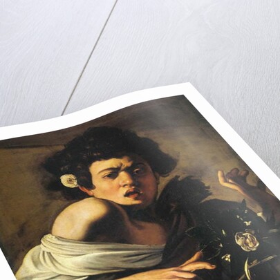 Boy bitten by a lizard, 1596-97 by Michelangelo Merisi da Caravaggio