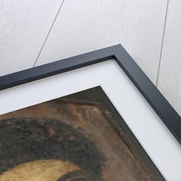 Portrait of a young lady, from Fayum, 2nd century AD by Roman Period Egyptian