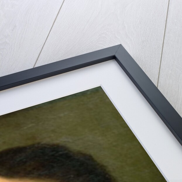 Portrait of Tsar Peter I the Great 1772 by Alexei Petrovich Antropov