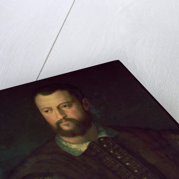Portrait of Cosimo I de' Medici 1559 by Agnolo di Cosimo Bronzino