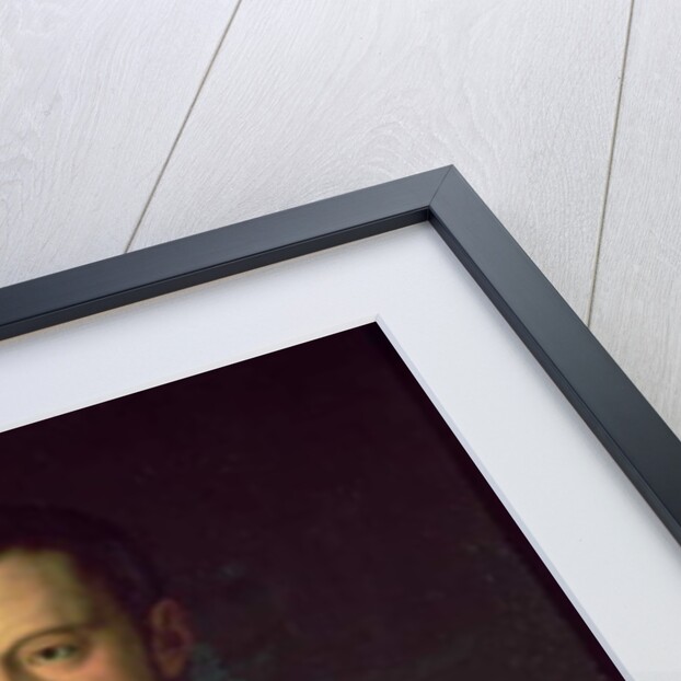 Portrait of Cosimo I de' Medici 1559 by Agnolo di Cosimo Bronzino