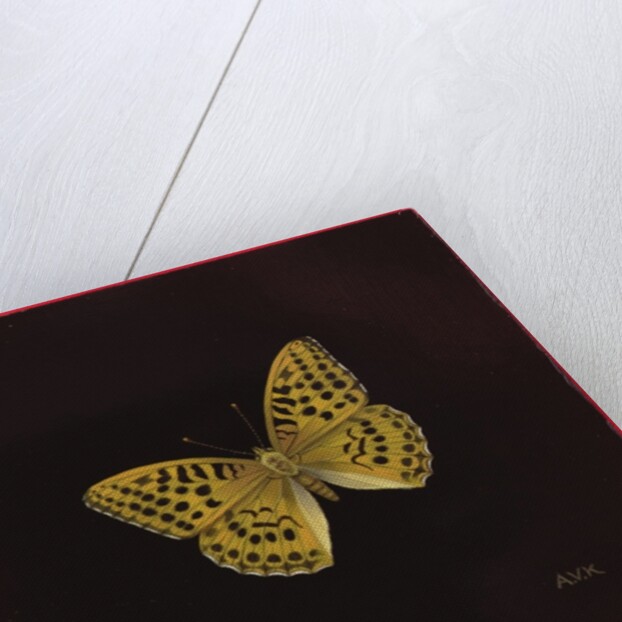 Silver washed fritillary butterfly, 2000 by Amelia Kleiser