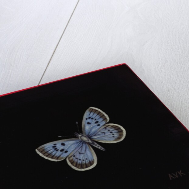 Large blue butterfly, 2000 by Amelia Kleiser