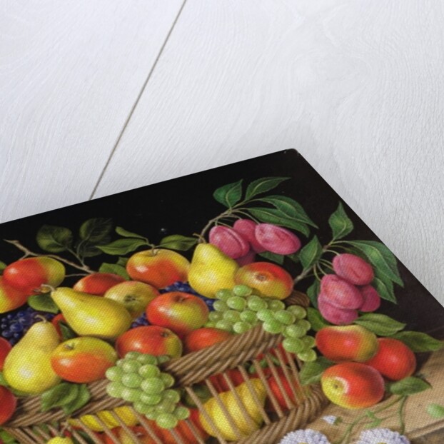 Apples, pears. grapes and plums, 1999 by Amelia Kleiser