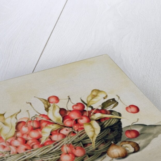 Basket of cherries, 1998 by Amelia Kleiser