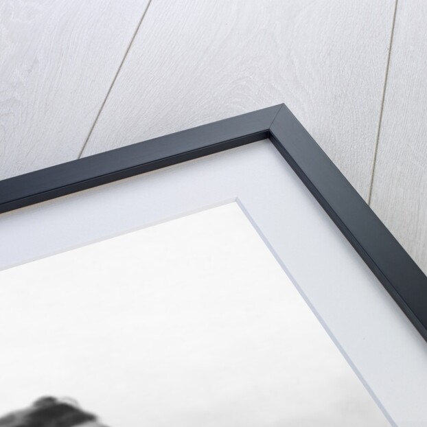 Portrait of Giacomo Puccini, c.1900 by Italian Photographer