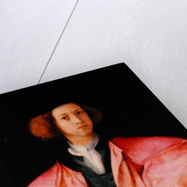 Portrait of a Young Man by Jacopo Pontormo
