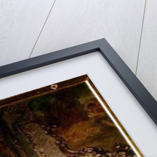 The Curious Maid by Wilhelm Amberg