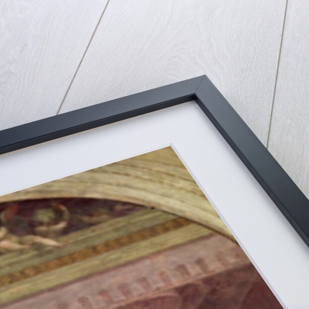 The Birth of the Virgin, 1514 by Andrea del Sarto