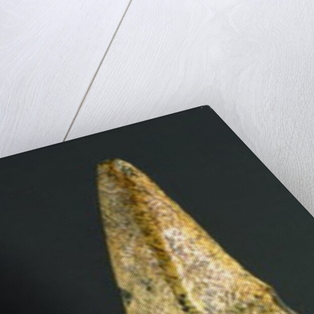 Venus, 35000-8000 BC by Paleolithic Paleolithic