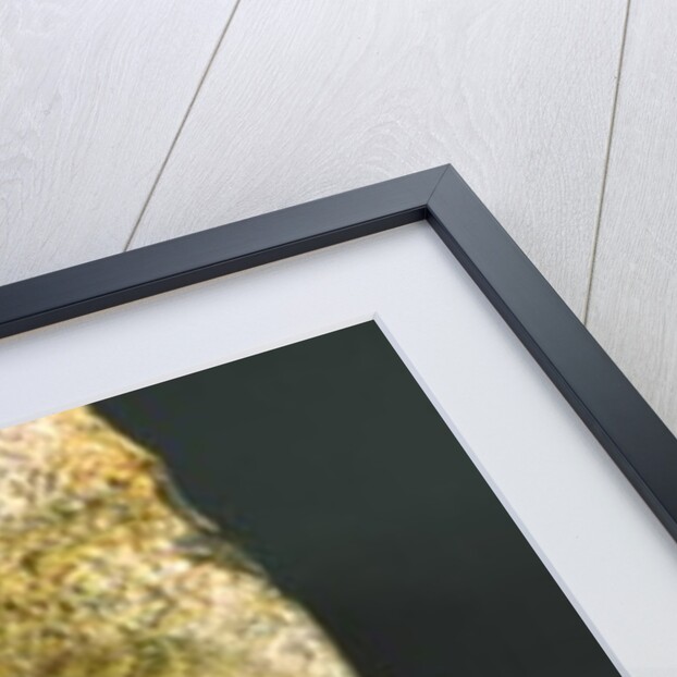 Venus, 35000-8000 BC by Paleolithic Paleolithic