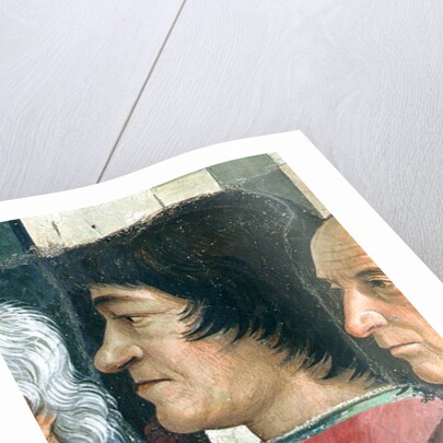 Lorenzo Medic by Domenico (1449-94) Ghirlandaio